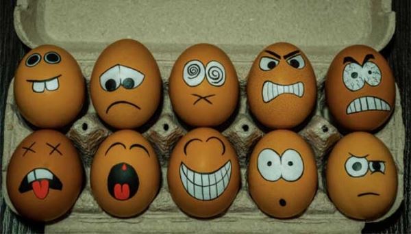 Кредитор намерен сделать банкротом крупнейшего производителя яиц в России