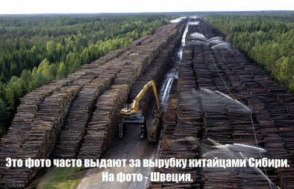 История фейка: Китай вырубил Сибирские леса и опустошил Байкал