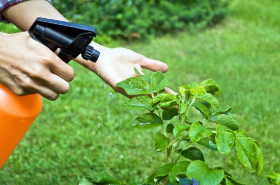 <br />
Минсельхоз установит обязательные требования безопасности при обращении с пестицидами<br />
