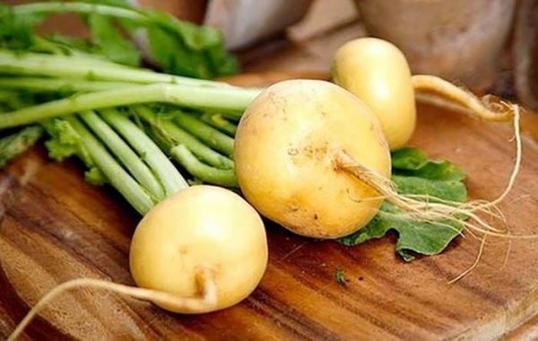 Что росло в русском огороде до картошки?